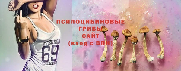 дурь Алексин